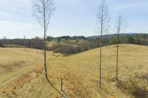 Land with Elk Creek Frontage