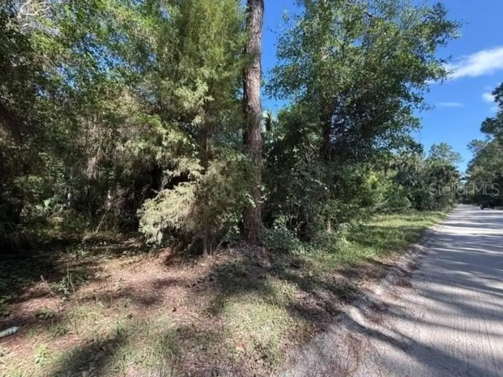 Picture 6