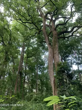 Land in Southern Pines, NC