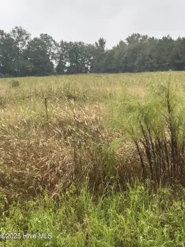 Penderlea Land Opportunity