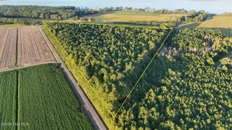 25 Acres Timberland in Belhaven