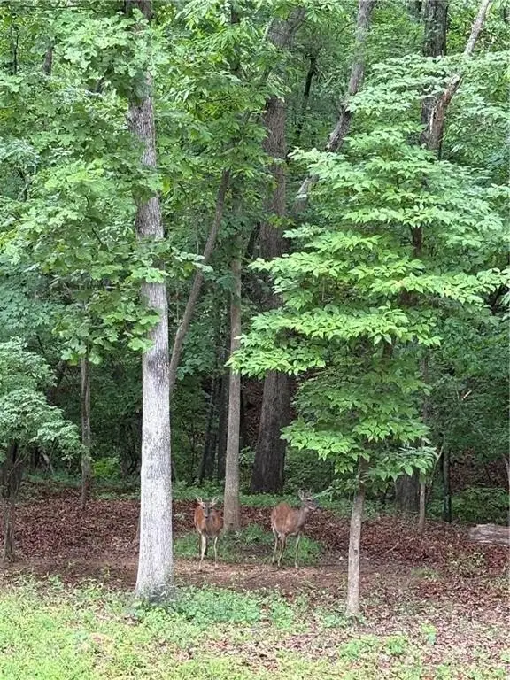 Picture 39