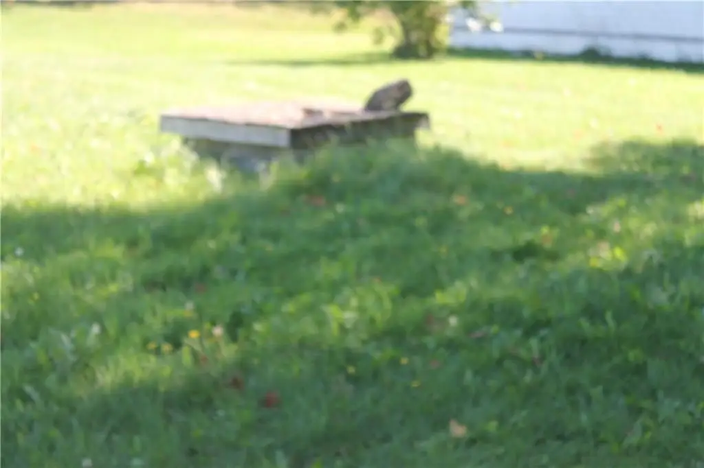 Picture 5