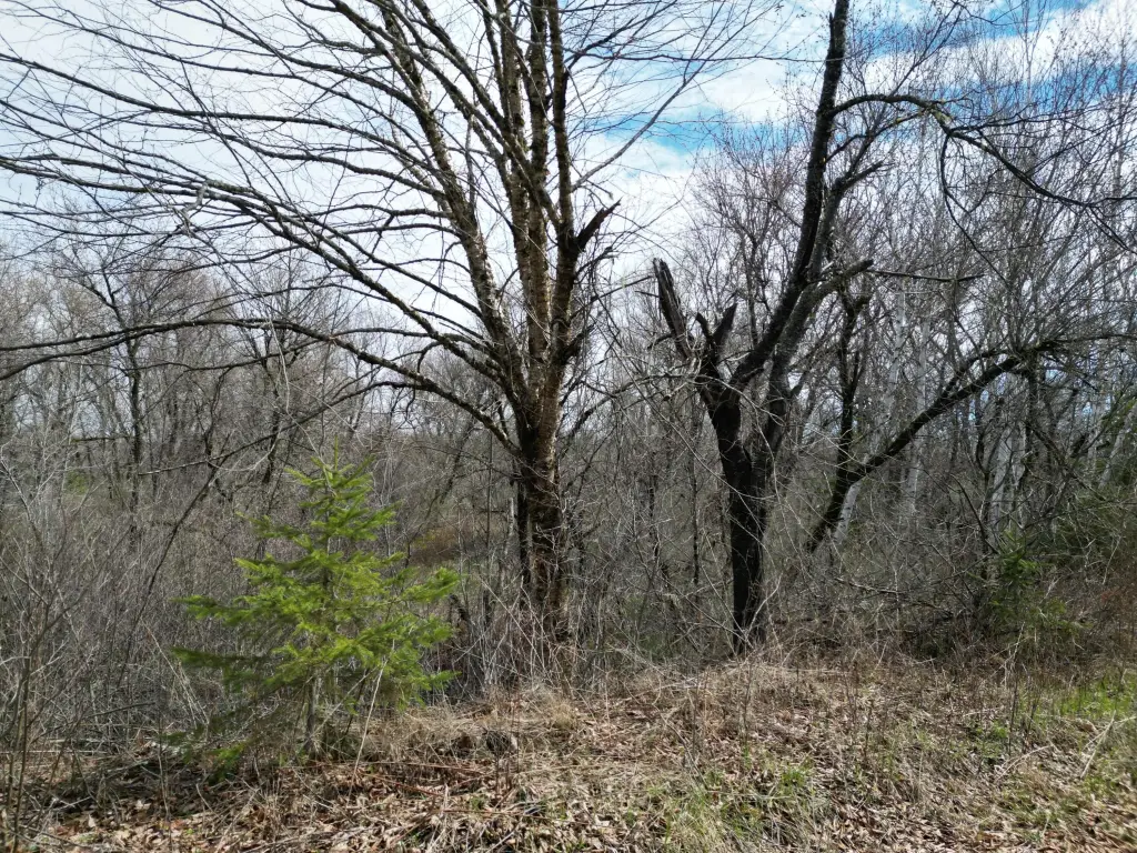 Picture 7