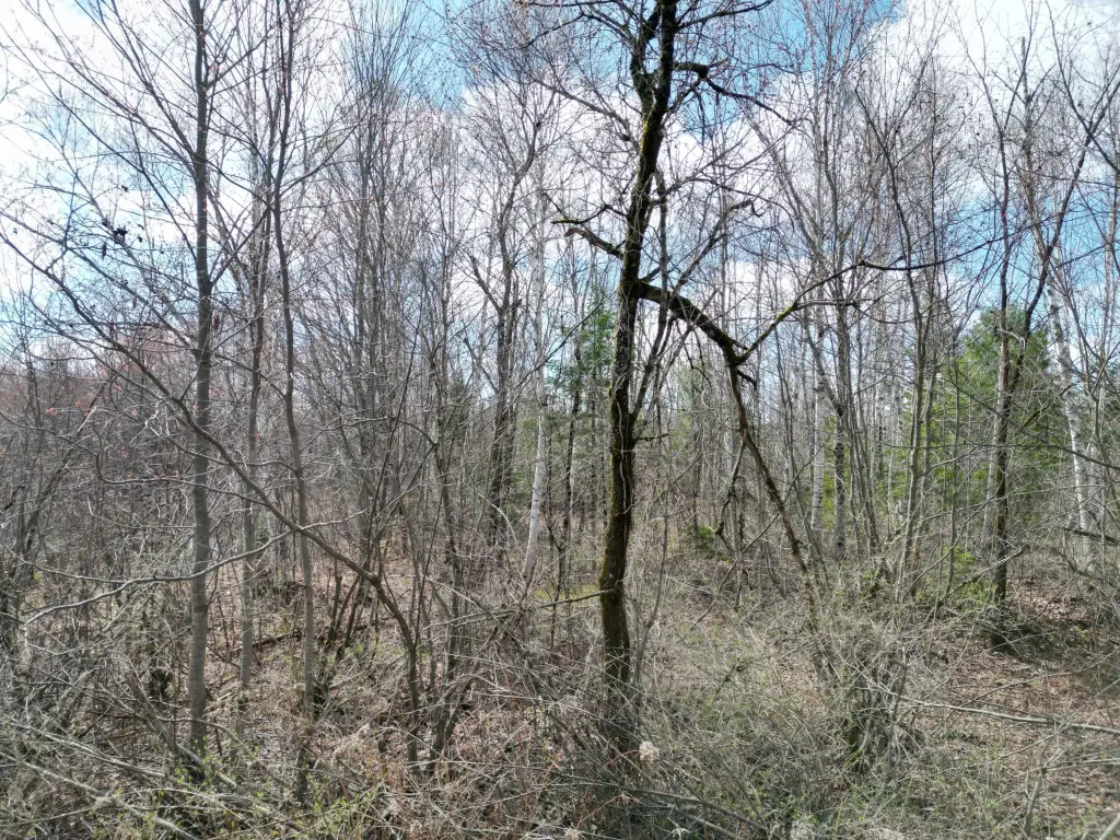 Picture 7