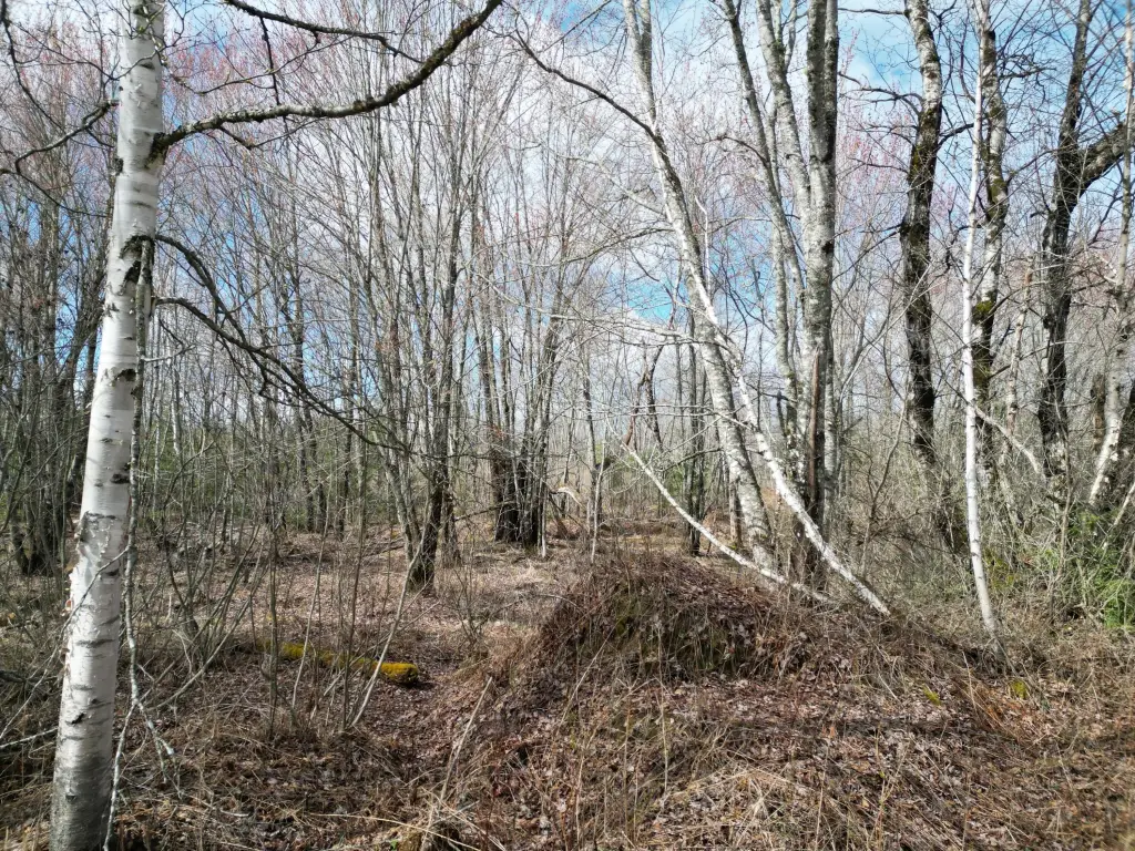 Picture 6