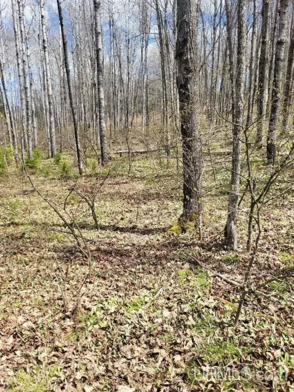 Picture 14
