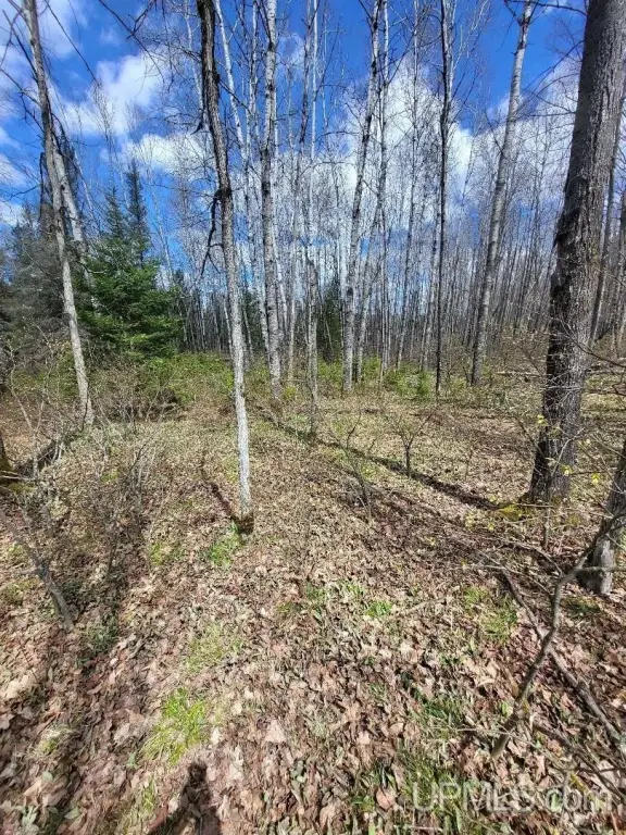 Picture 15