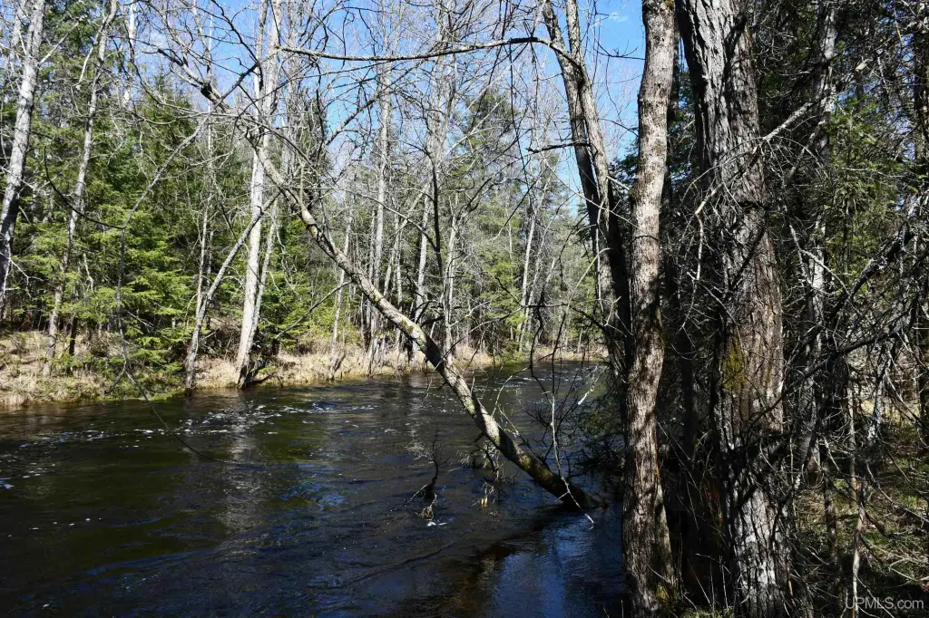 Picture 8