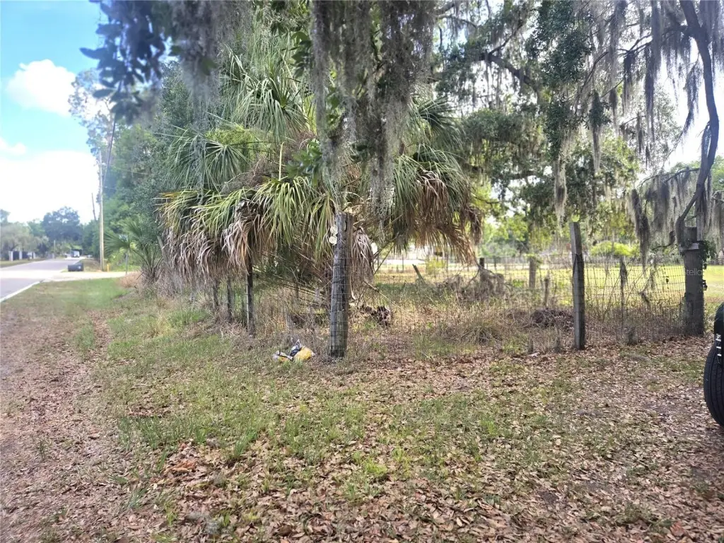 Picture 19