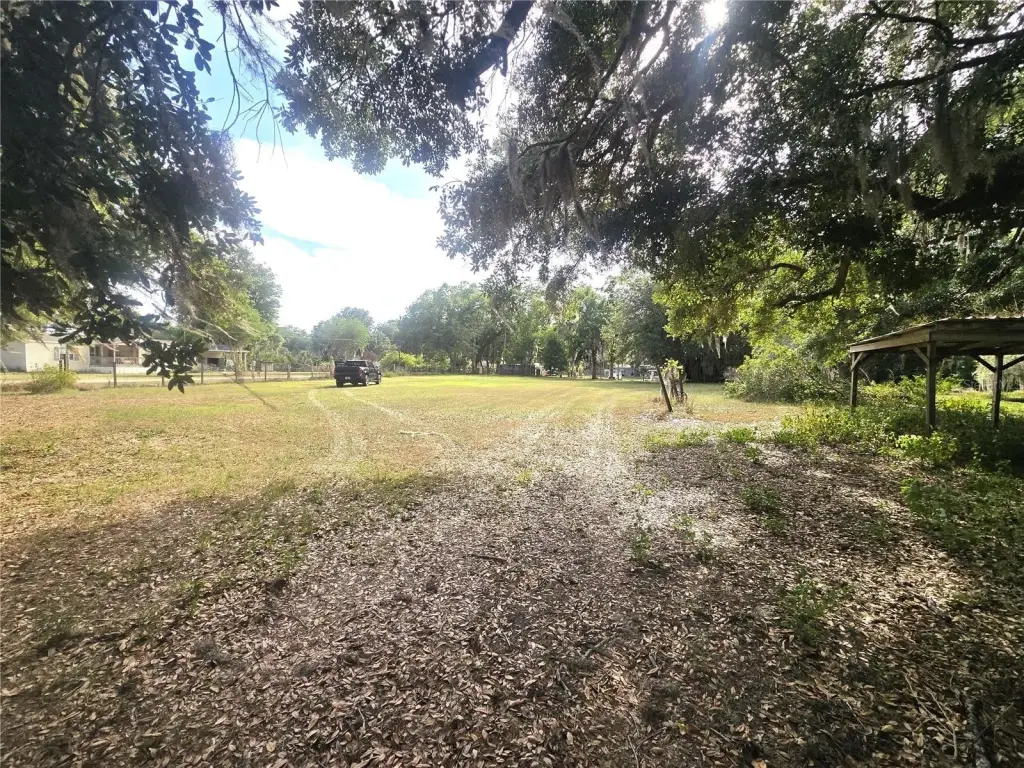 Picture 20