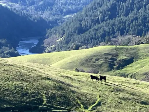 Blocksburg Timber and Cattle Ranch