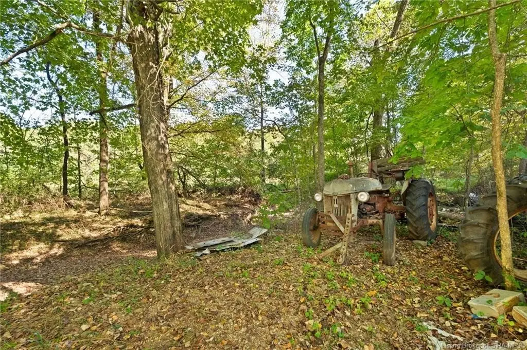 Picture 18
