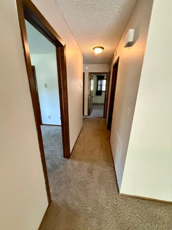 Picture 25