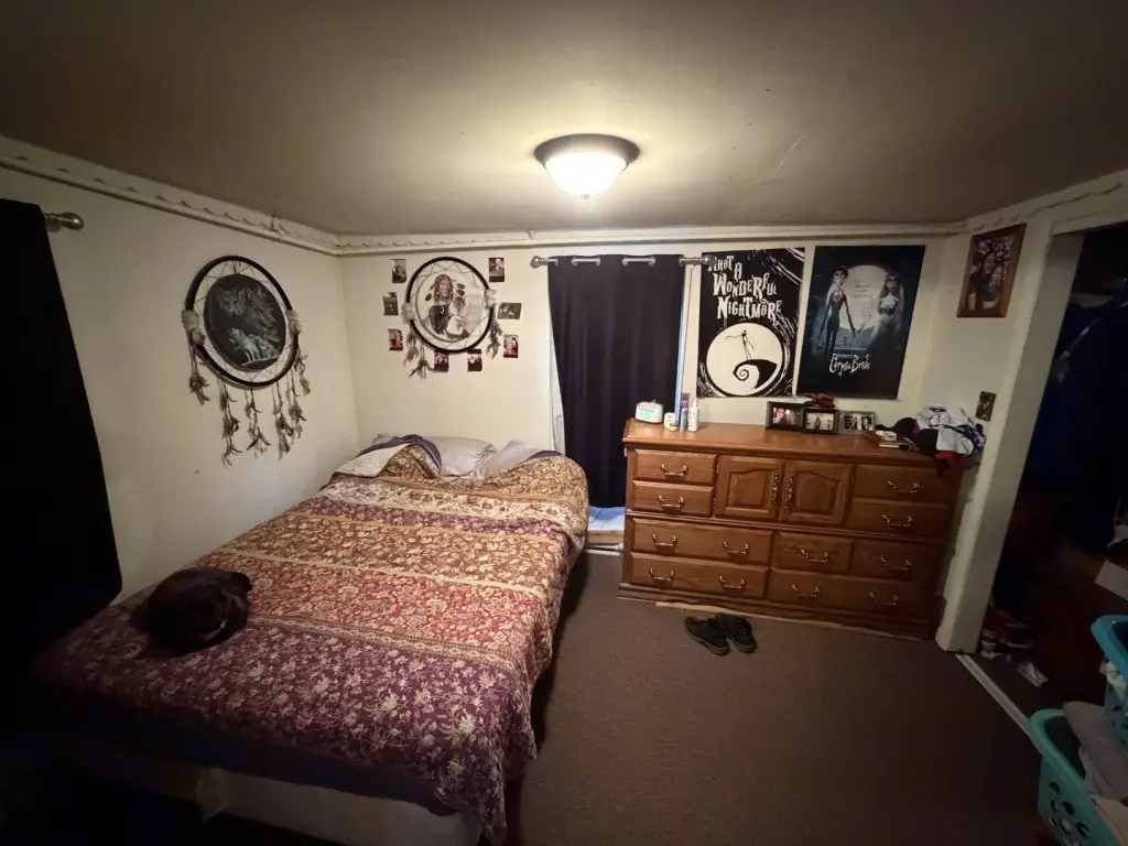 Picture 15