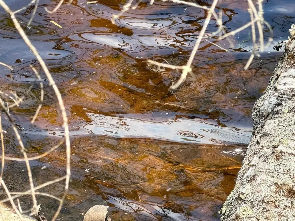 Picture 6