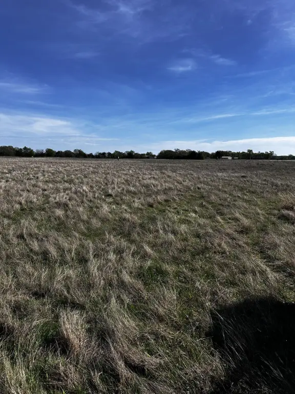 Picture 21