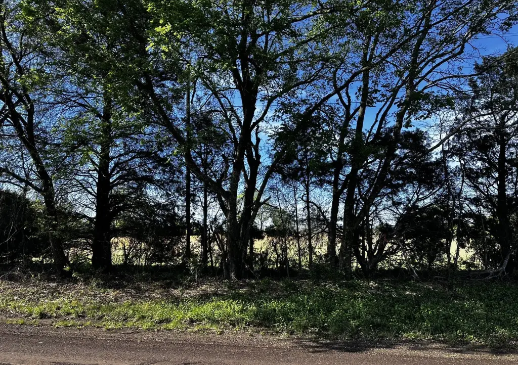 Picture 7