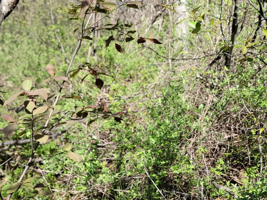 Picture 9