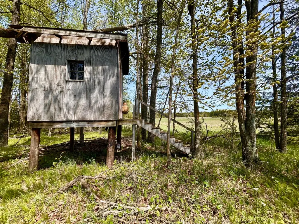 Picture 2