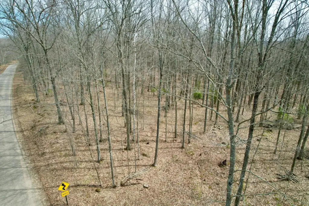 Picture 16