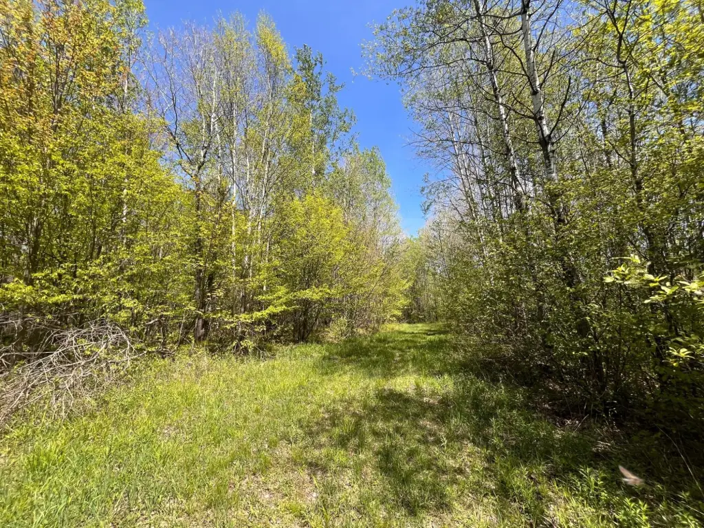 Picture 19