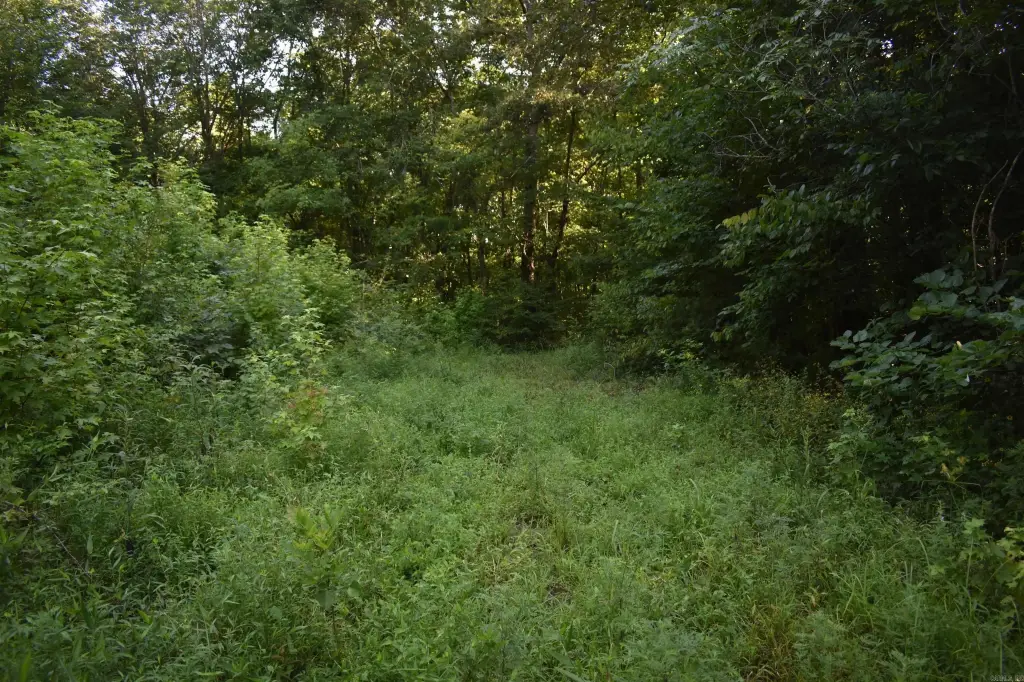 Picture 32