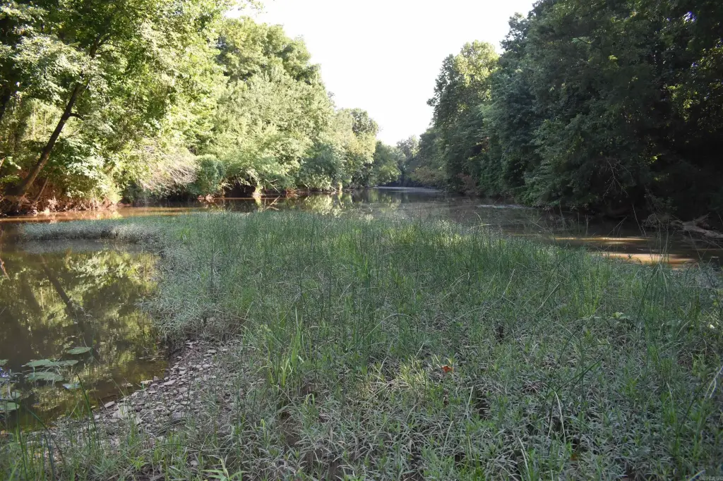 Picture 23