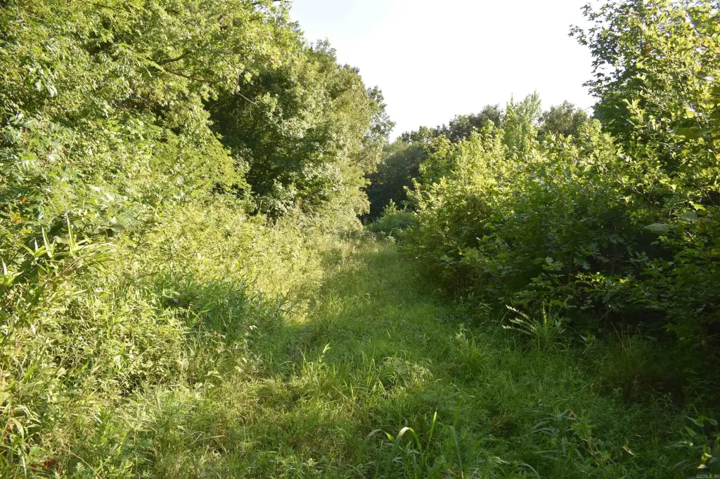 Picture 31
