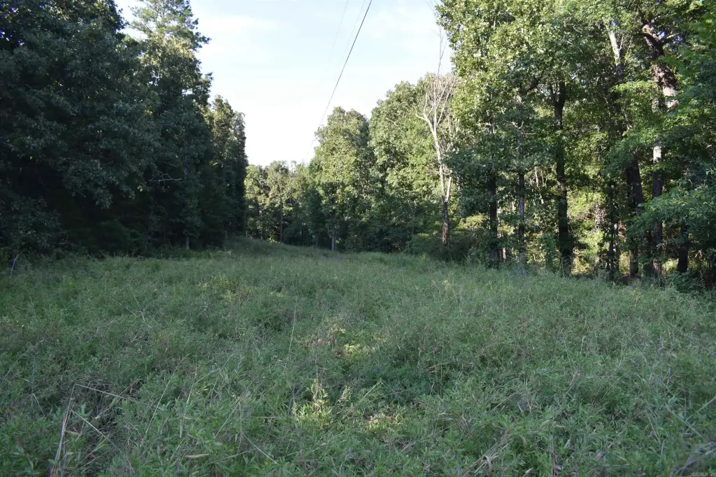 Picture 42
