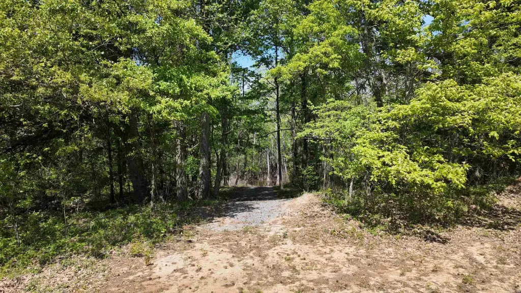 Picture 21