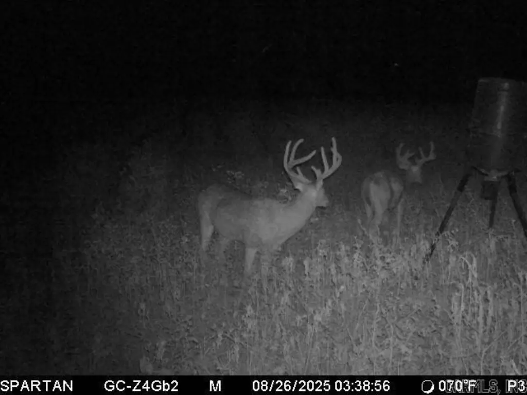 Picture 2
