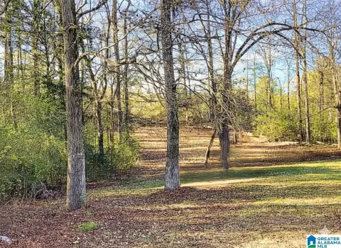 Montevallo Acreage Ready For Development