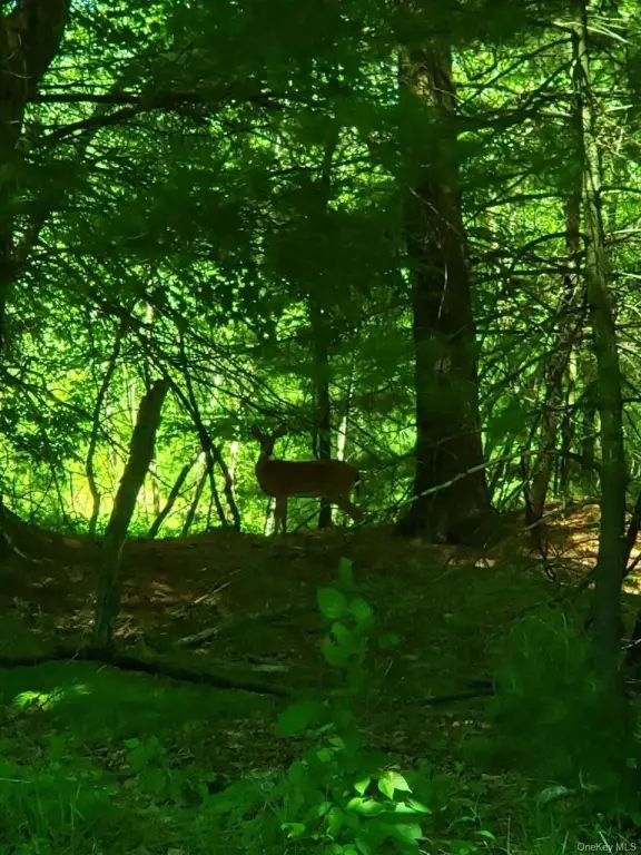 Picture 2