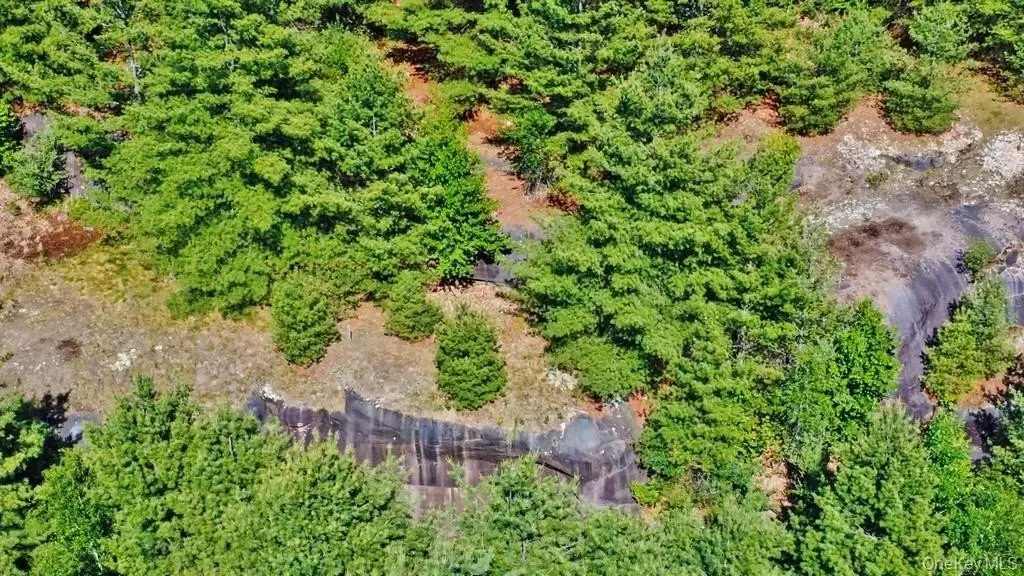 Picture 14