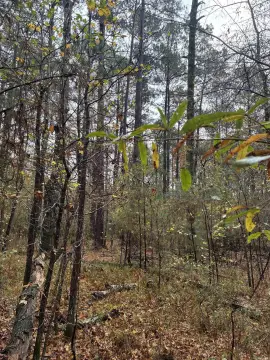 26 Acres in Harmony Grove