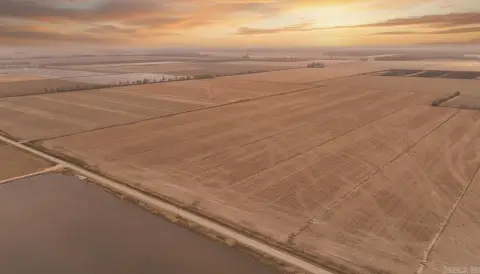 227 Acres of Farmland Auction