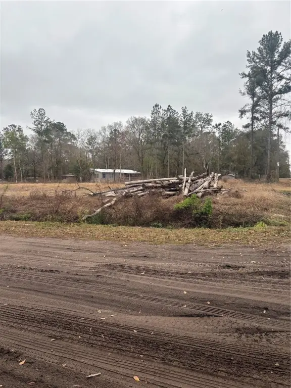 Picture 4