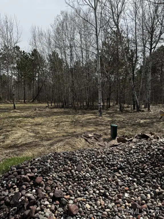 Picture 18