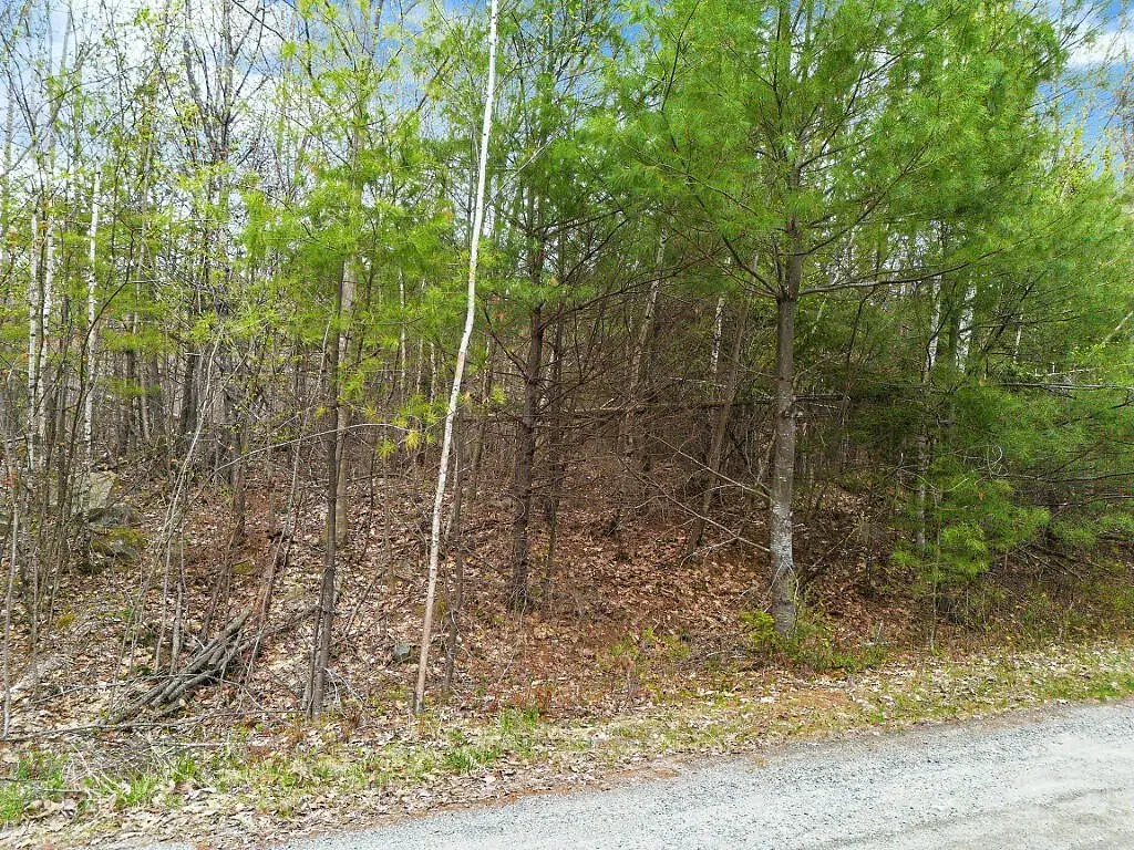 Picture 7