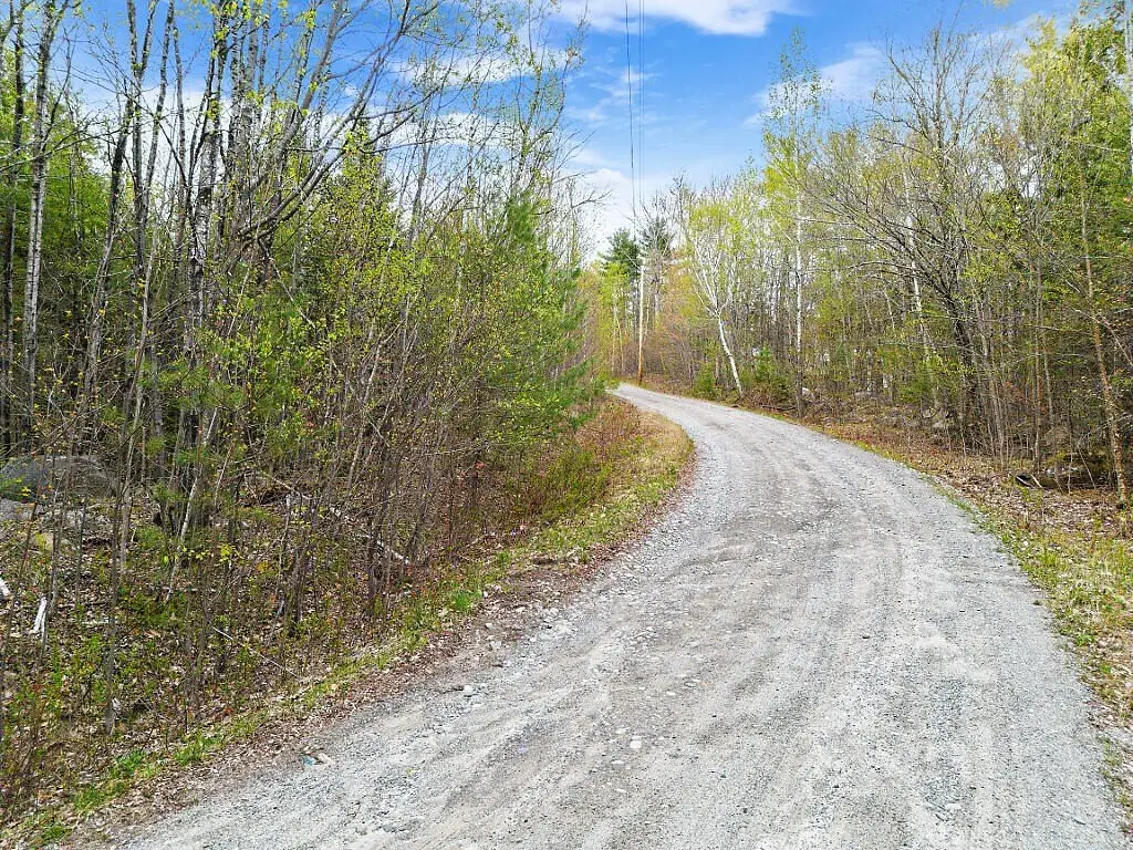 Picture 14