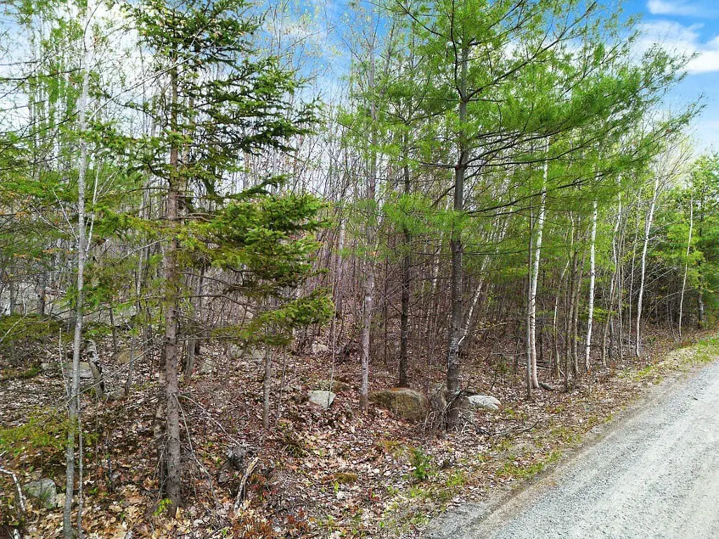 Picture 4