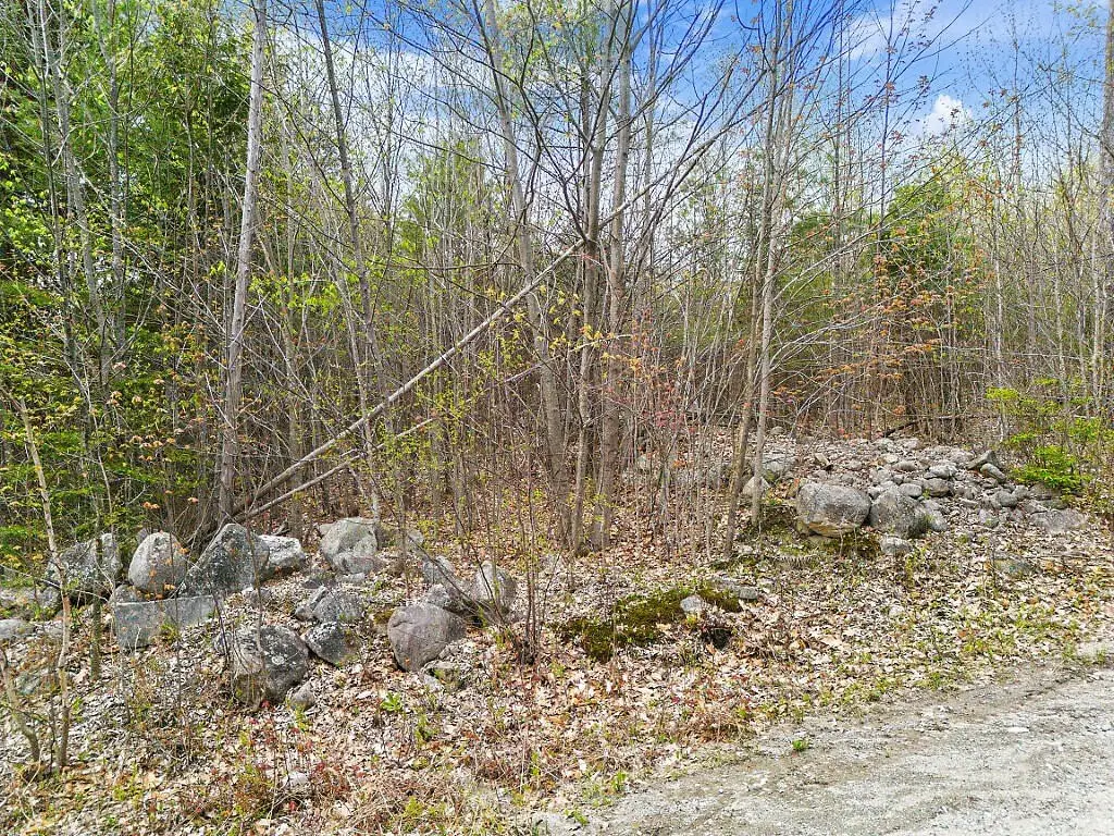 Picture 17