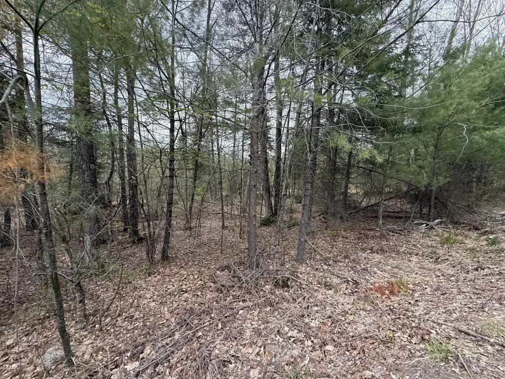 Picture 6