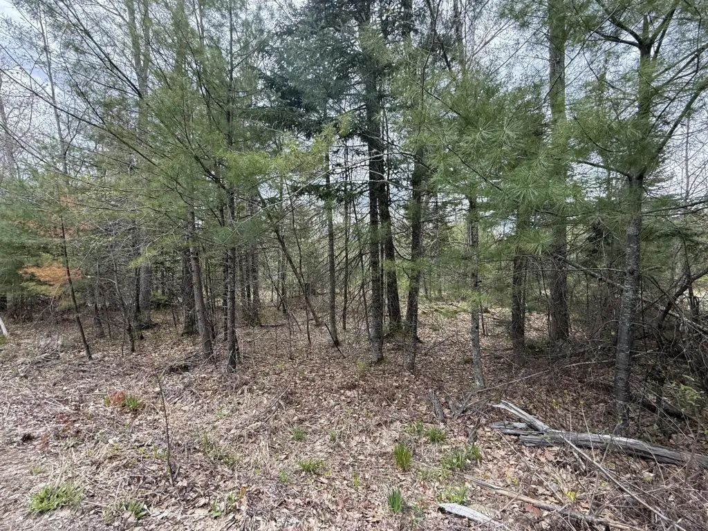 Picture 3