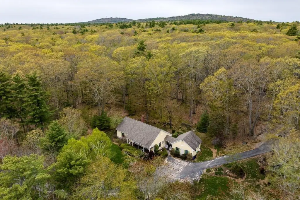 Picture 2