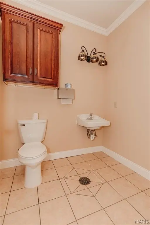Picture 35