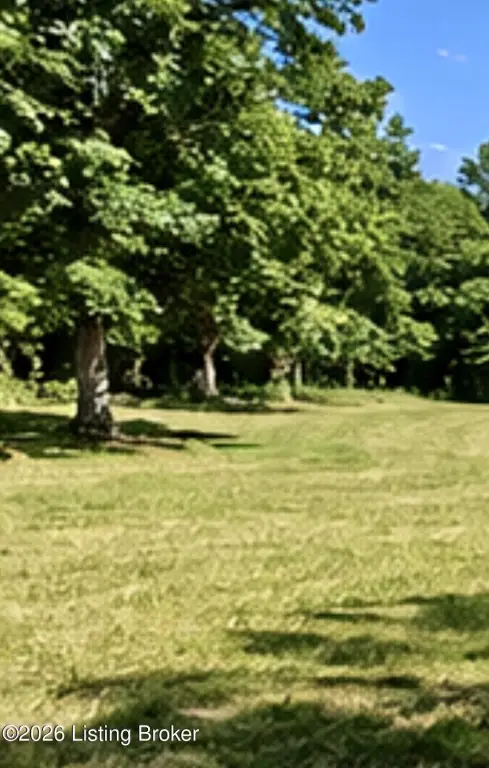 Picture 28