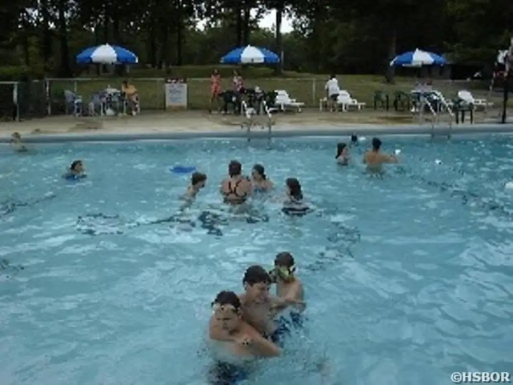 Picture 9