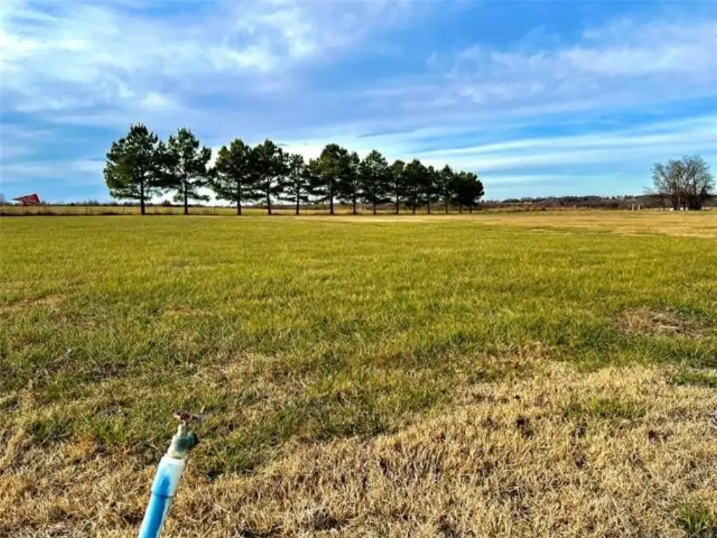 Picture 4